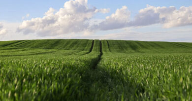 Centre–State Synergy Ushers in a New Era of Agriculture; Reform Agenda to Resonate from Jaipur