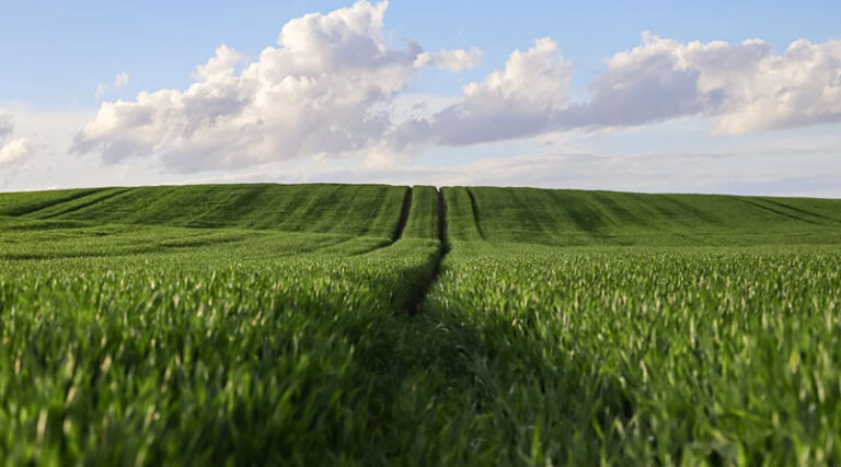 Centre–State Synergy Ushers in a New Era of Agriculture; Reform Agenda to Resonate from Jaipur