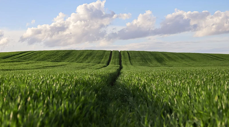 Centre–State Synergy Ushers in a New Era of Agriculture; Reform Agenda to Resonate from Jaipur