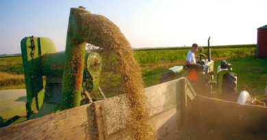 FAO Food Price Index Signals Rising Pressure on Cereals Amid Energy-Driven Market Shifts FAO Food Price Index Signals Rising Pressure on Cereals Amid Energy-Driven Market Shifts