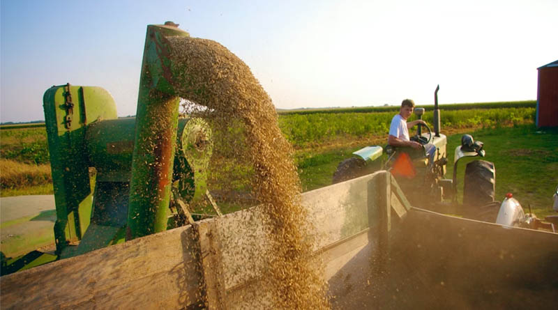 FAO Food Price Index Signals Rising Pressure on Cereals Amid Energy-Driven Market Shifts