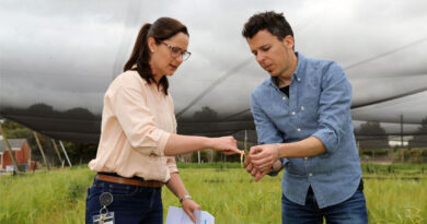 To Spray Or Not To Spray – The Challenging Fungicide Decision