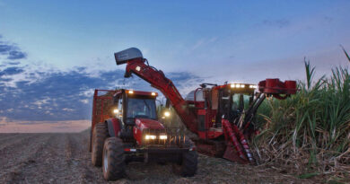 FAO Food Price Index Rises In March As Near East Conflict Raises Energy Costs