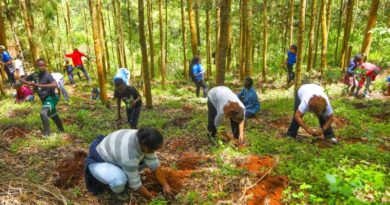 International Day Of Forests: Planting Trees, Conserving Forests And Nurturing Young Stewards International Day Of Forests: Planting Trees, Conserving Forests And Nurturing Young Stewards
