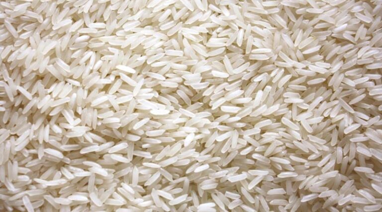 India’s Designer Rice Innovation: High-Protein Breakthrough to Tackle Diabetes and Malnutrition