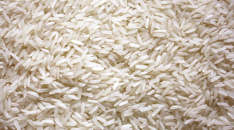 India’s Designer Rice Innovation: High-Protein Breakthrough to Tackle Diabetes and Malnutrition