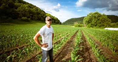 79% of U.S. Rented Farmland Owned by Non-Farmers, USDA Survey Finds 79% of U.S. Rented Farmland Owned by Non-Farmers, USDA Survey Finds