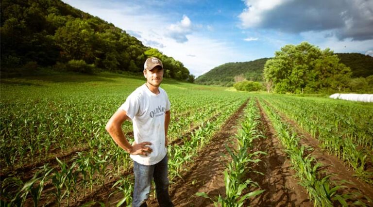 79% of U.S. Rented Farmland Owned by Non-Farmers, USDA Survey Finds