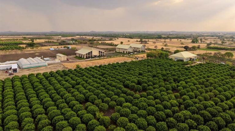 TAFE Inaugurates JFarm in Rajasthan to Support Farmer Training and Farm Practices