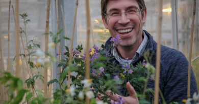 Professor Ingo Hein Announced As Deputy Director Of The National Potato Innovation Centre