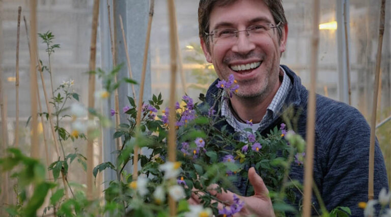 Professor Ingo Hein Announced As Deputy Director Of The National Potato Innovation Centre
