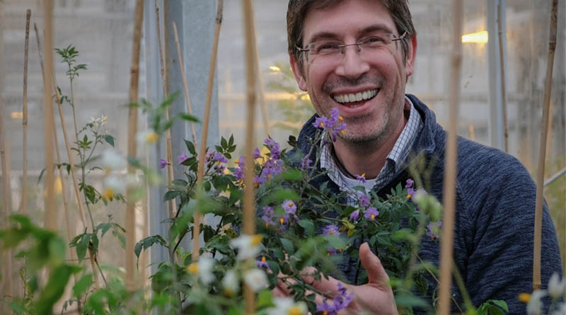 Professor Ingo Hein Announced As Deputy Director Of The National Potato Innovation Centre