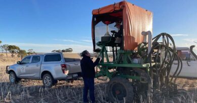 Risk Management At Sowing – Frost Or Heat?