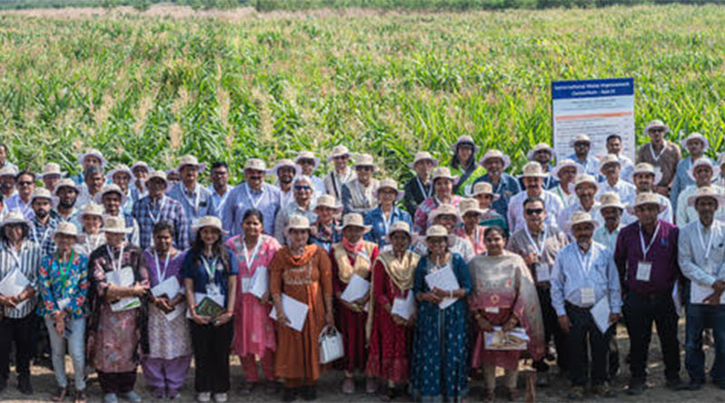 CIMMYT Showcases 2,286 Maize Germplasm Entries for South and Southeast Asia