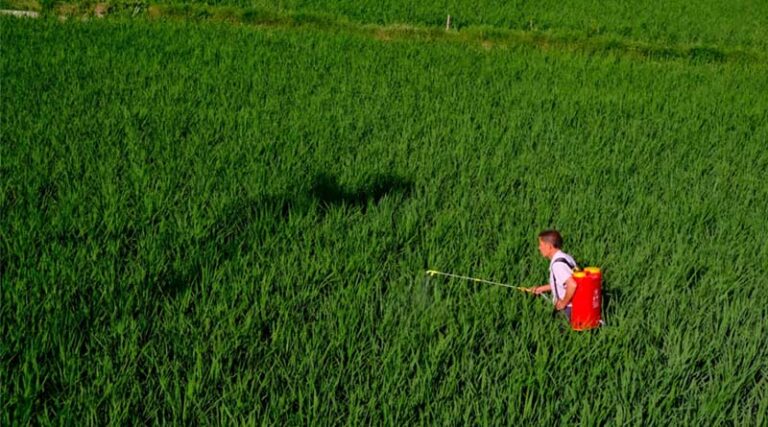 China Begins Crackdown on Illegal Pesticides