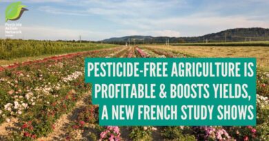 Pesticide-free Agriculture Is Profitable And Boosts Yields, A New French Study Shows