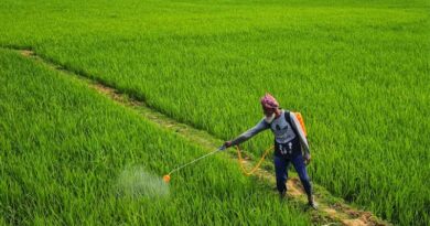 Data Exclusivity in Agrochemicals Could Undermine ‘Make in India’ and Exports: CCFI Data Exclusivity in Agrochemicals Could Undermine ‘Make in India’ and Exports: CCFI