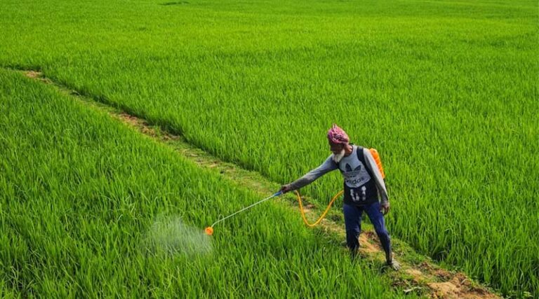 Data Exclusivity in Agrochemicals Could Undermine ‘Make in India’ and Exports: CCFI