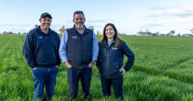 BASF Launches Balaya Fungicide for Cereals, Pulses and Canola in Australia BASF Launches Balaya Fungicide for Cereals, Pulses and Canola in Australia