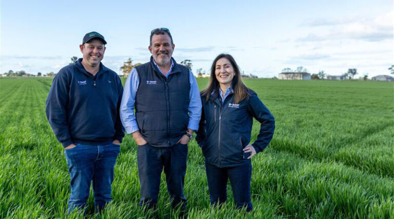 BASF Launches Balaya Fungicide for Cereals, Pulses and Canola in Australia
