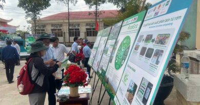 Scaling Low-Emission Rice through Pilot Models that Showcase the Future of Vietnam’s Mekong Delta Scaling Low-Emission Rice through Pilot Models that Showcase the Future of Vietnam’s Mekong Delta
