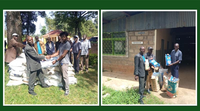 FAO Provides Farm Inputs For Demonstration Trials On Fall Armyworm Management In Kenya