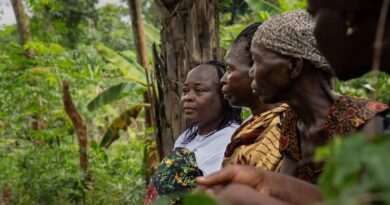 Forest Sector Employs 42 Million People Worldwide: FAO Study