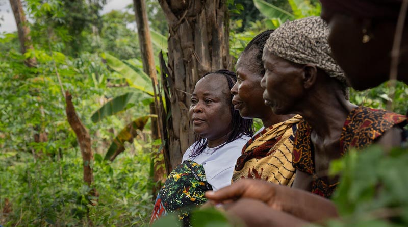 Forest Sector Employs 42 Million People Worldwide: FAO Study