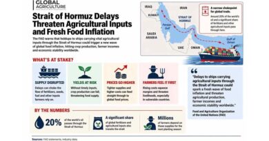 FAO Warns Strait of Hormuz Shipping Delays Could Disrupt Agricultural Inputs Worldwide FAO Warns Strait of Hormuz Shipping Delays Could Disrupt Agricultural Inputs Worldwide