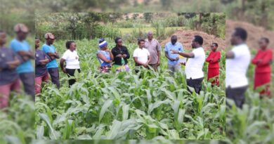 Empowering Women And Youth For Sustainable Agriculture Through Farmer Field Schools