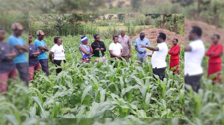Empowering Women And Youth For Sustainable Agriculture Through Farmer Field Schools