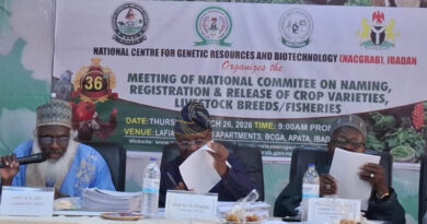 Nigeria Approves High-Performing Groundnut Variety SAMNUT 30 Developed by ICRISAT Nigeria Approves High-Performing Groundnut Variety SAMNUT 30 Developed by ICRISAT