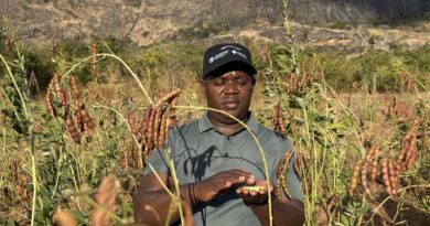 Fixing Seed Systems To Fix Food Security