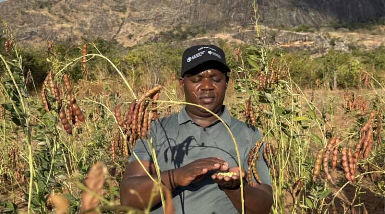 Fixing Seed Systems To Fix Food Security