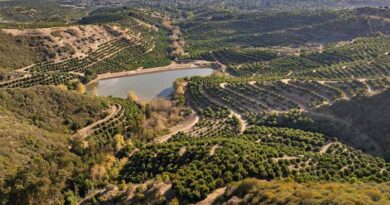 FarmTogether Launches First Avocado Investment with Coastal Santa Barbara Property FarmTogether Launches First Avocado Investment with Coastal Santa Barbara Property