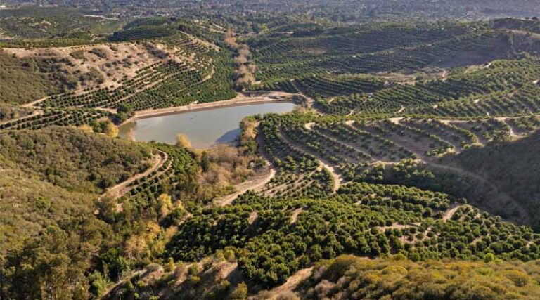 FarmTogether Launches First Avocado Investment with Coastal Santa Barbara Property