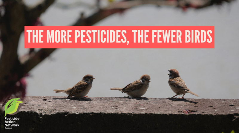 The More Pesticides, The Fewer Birds