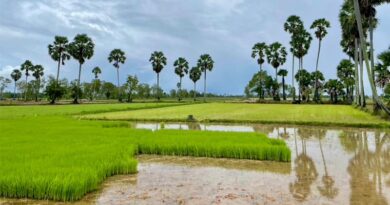 From Innovation to Scale: ASEAN-CGIAR Drives Food Systems Transformation For Regional Food And Nutrition Security