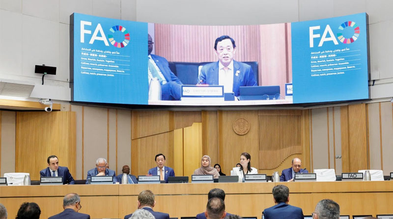 Middle East Conflict Adds Pressure on Global Food Supply Chains, Warns FAO