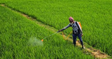 El Niño Could Reshape India’s Herbicide Market in 2026. Is the Crop Protection Industry Ready?