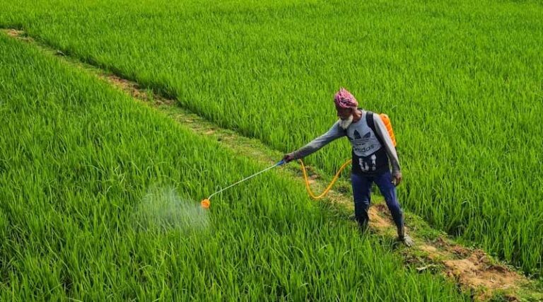 El Niño Could Reshape India’s Herbicide Market in 2026. Is the Crop Protection Industry Ready?