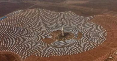 We understand the global resource crisis. So why aren’t we enacting the solutions?