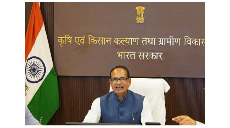 Government of India Approves 20 Lakh MT Potato Procurement in Uttar Pradesh
