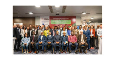 FAO continues to Support Côte D’ivoire and Ghana to Fight Cocoa Swollen Shoot Virus