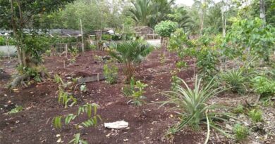 Hutton Awarded £8,000 From Royal Society Of Edinburgh For Research Into Southeast Asian Peatland Restoration Hutton Awarded £8,000 From Royal Society Of Edinburgh For Research Into Southeast Asian Peatland Restoration