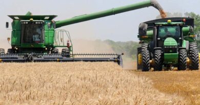 Kansas Wheat Growers Urged To Scout For Rust As Spring Conditions Shift Risk Kansas Wheat Growers Urged To Scout For Rust As Spring Conditions Shift Risk
