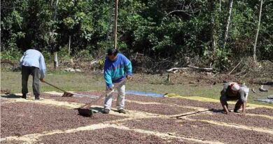 Global Survey on the Effects of EU Compliance On Organic Smallholders