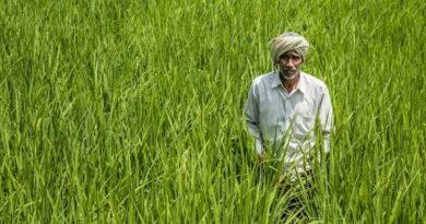 India Needs Urgent Farm Reforms Amid Middle East Tensions India Needs Urgent Farm Reforms Amid Middle East Tensions