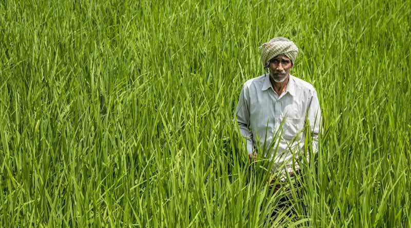 India Needs Urgent Farm Reforms Amid Middle East Tensions