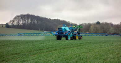 Breakthrough in Biopesticides: Laminaria japonica Polysaccharides (Laminarin) Set for ICAMA Approval in China Breakthrough in Biopesticides: Laminaria japonica Polysaccharides (Laminarin) Set for ICAMA Approval in China